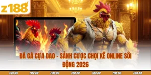 Đá Gà Cựa Dao - Sảnh Cược Chọi Kê Online Sôi Động 2026