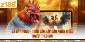 Đá Gà Thomo - Trận Đấu Hấp Dẫn Khiến Nhiều Người Theo Dõi