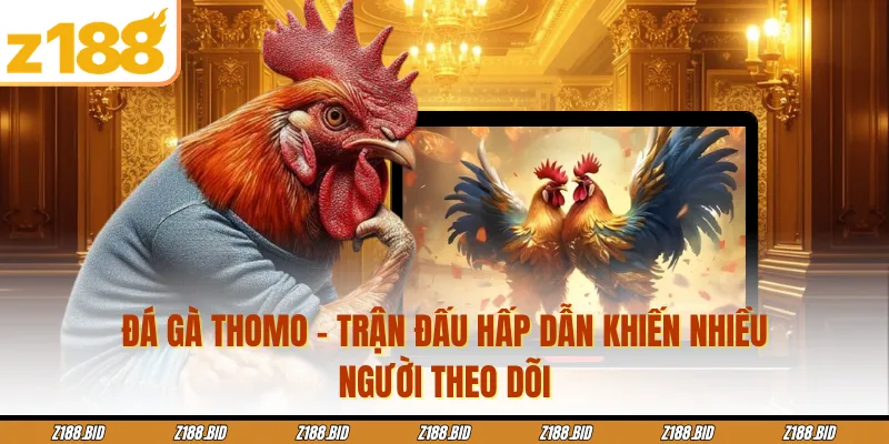 Đá Gà Thomo - Trận Đấu Hấp Dẫn Khiến Nhiều Người Theo Dõi