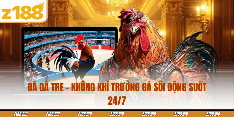 Đá Gà Tre - Không Khí Trường Gà Sôi Động Suốt 24/7