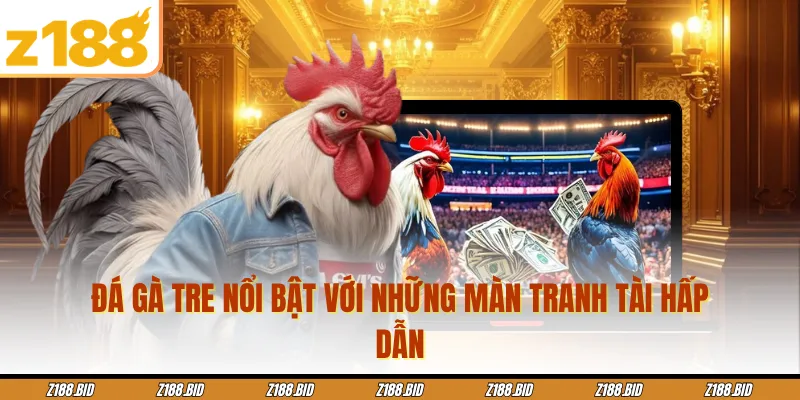 Đá gà tre nổi bật với những màn tranh tài hấp dẫn