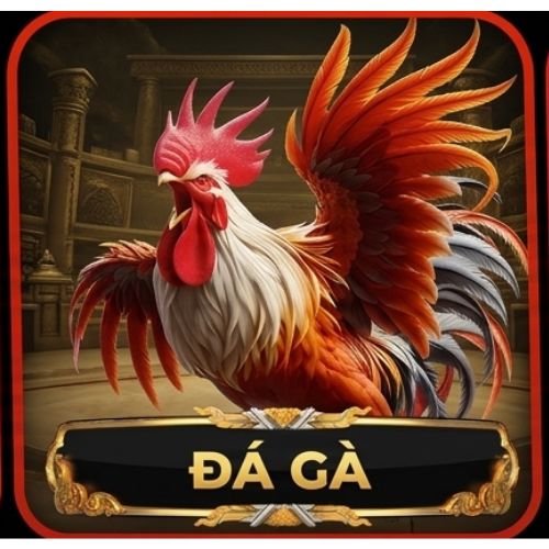 đá gà z188