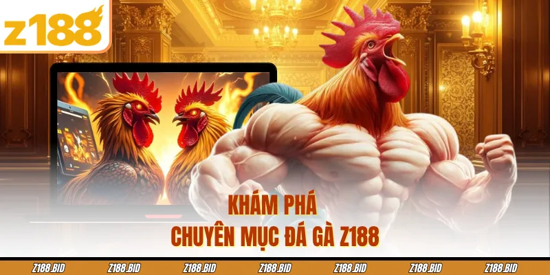 Khám phá chuyên mục đá gà Z188