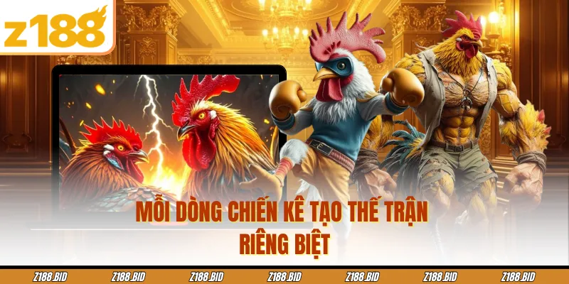 Mỗi dòng chiến kê tạo thế trận riêng biệt