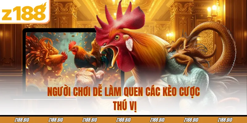 Người chơi dễ làm quen các kèo cược thú vị