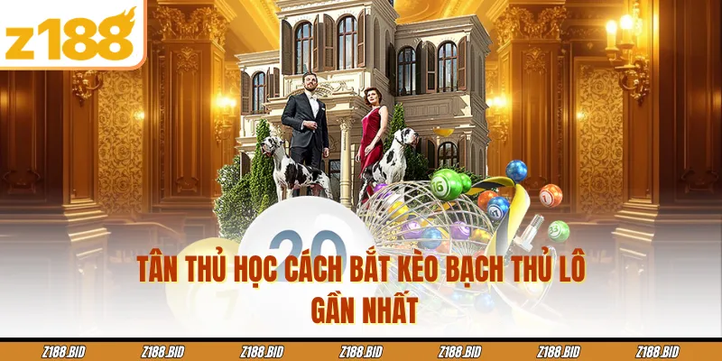 Tân thủ học cách bắt kèo bạch thủ lô gần nhất